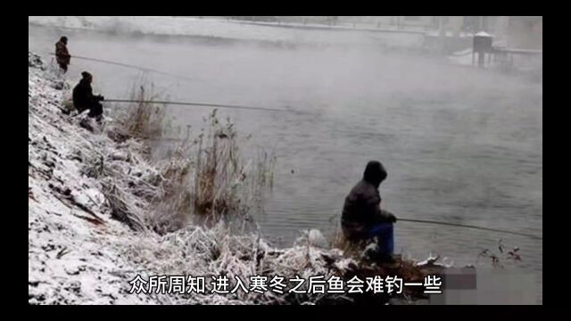 寒冬野河钓鱼致胜的十大法则.学习一下,上鱼不再是难事