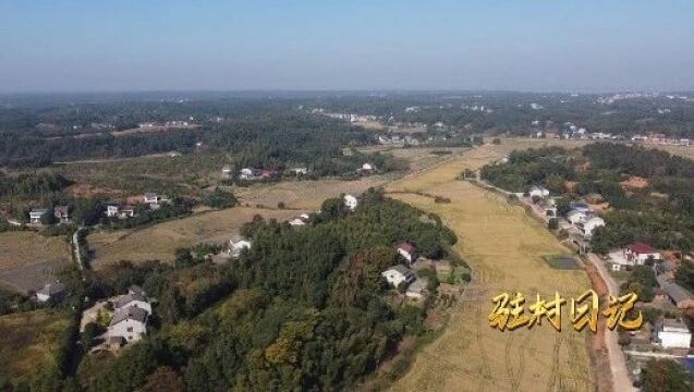 【驻村日记】汉寿县紫阳冲村:巩固村“硬件” 提升软实力