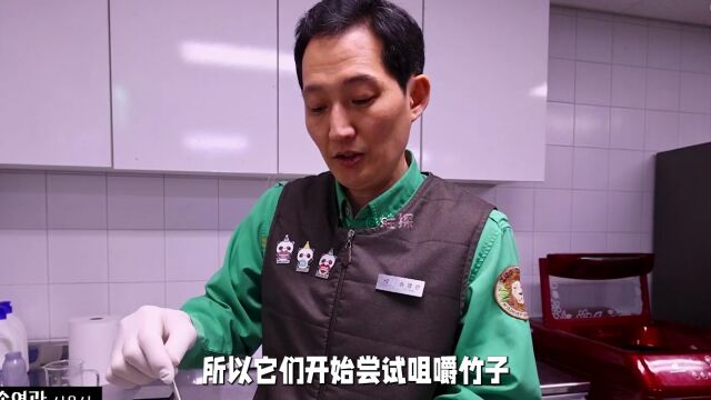 睿宝和辉宝的最新生活视频