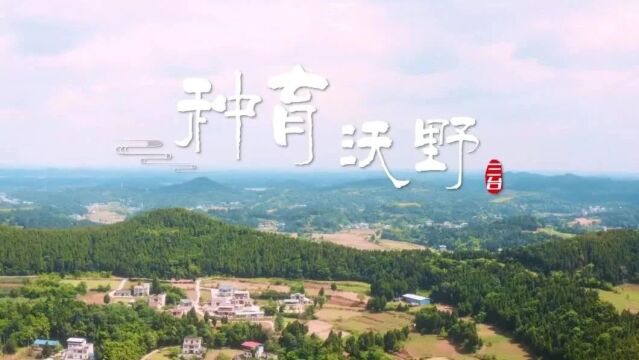 “天府乡村 百部川扬”2023 广播电视节目创作展播活动编导手记《种育沃野》——自豪 一个川北丘陵县的基因力量