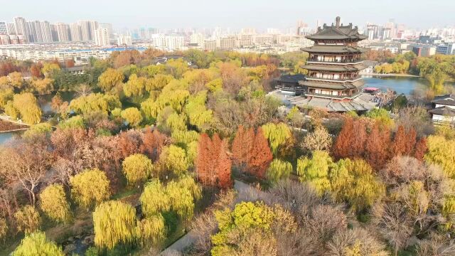 冬日的大明湖好似打翻了调色盘,色彩斑斓