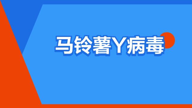 “马铃薯Y病毒”是什么意思?