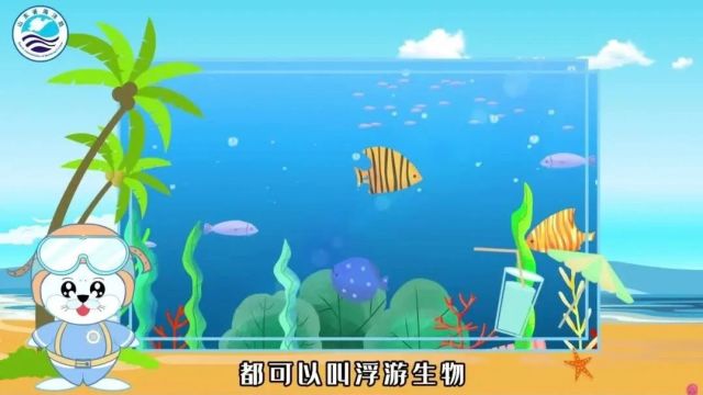 科普丨海洋里有哪些神奇的浮游生物?什么是风暴潮?