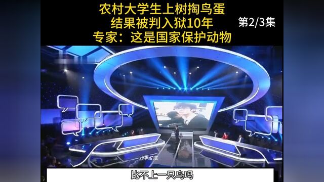 农村大学生上树掏鸟蛋,结果被判入狱10年,专家:这是国家保护动物 2