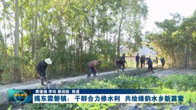 揭东霖磐镇:干群合力修水利 共绘绿韵水乡新篇章