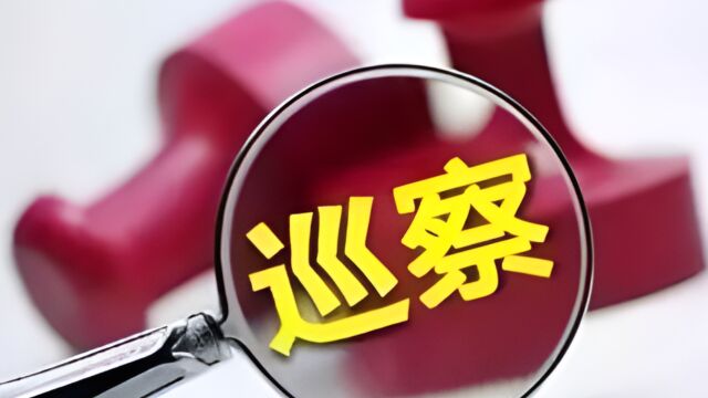 干部发网帖质疑选拔过程 广西百色市巡察人员:正调查