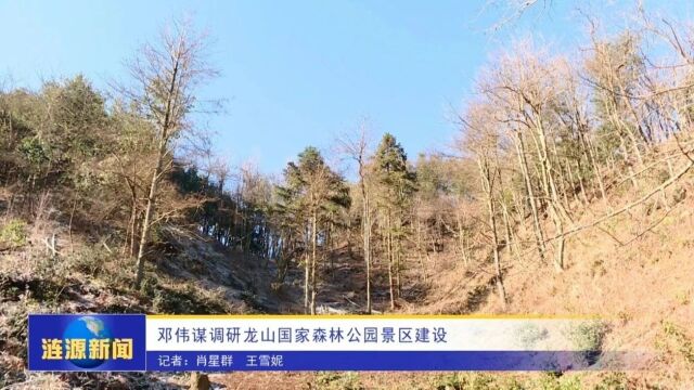 邓伟谋调研龙山国家森林公园景区建设