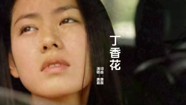 100首经典网络歌曲(一)唐磊《丁香花》2002