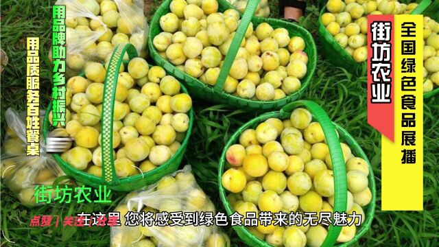 利川市富归良知生态农业的皇田李子是绿色食品