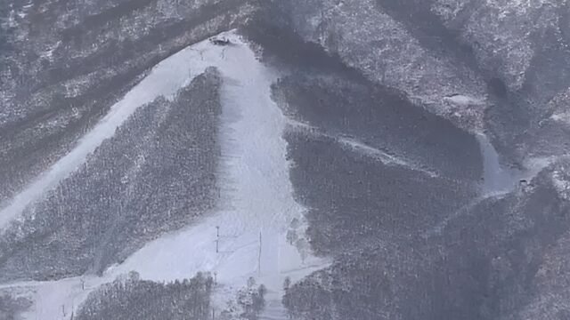 中国游客在日滑雪身亡 当地滑雪教练:遇难者摔倒后吸入“粉雪”窒息