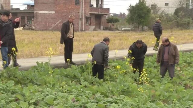 市农业综合服务中心开展农民田间技能培训