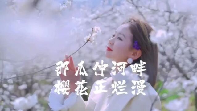 【四季毕节】大方美景