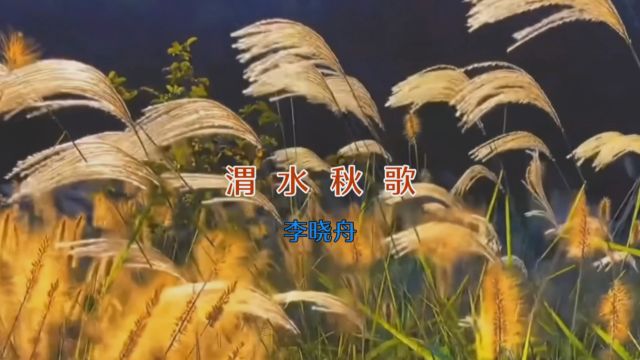 MV 《渭水秋歌》李晓舟