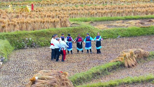 被誉为“活着的音乐化石”——大东乡纳西族热美磋