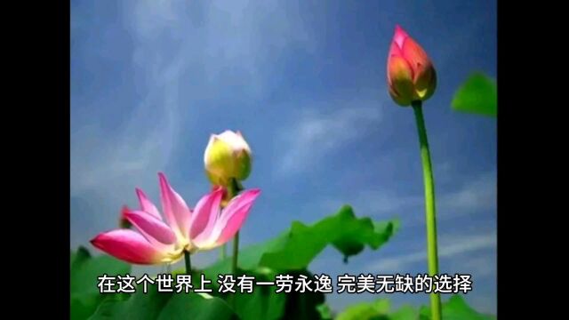 星云大师经典语录