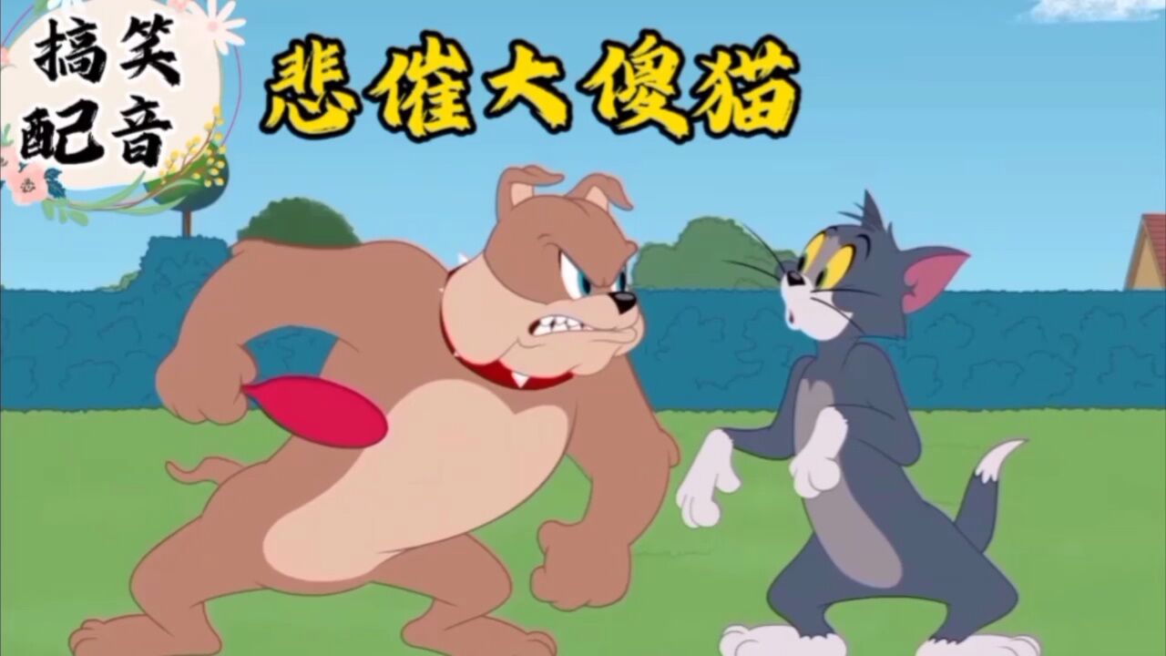 搞笑配音《猫和老鼠》悲催大傻猫又让大傻狗一顿削_高清1080P在线观看平台_腾讯视频