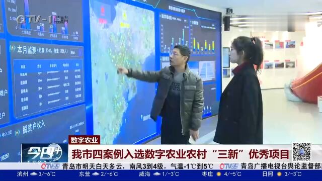 青岛市四案例入选数字农业农村“三新”优秀项目