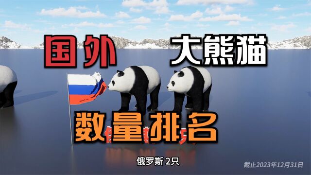 国外有多少只大熊猫?旅外大熊猫各国数量排名