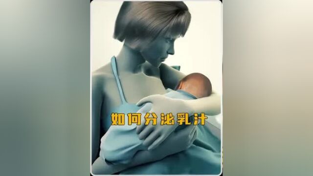 女性的身体是如何分泌乳汁的 女性的身体是如何分泌乳汁的#科普