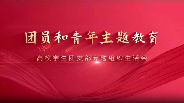 崇青微团课丨团员和青年主题教育专题组织生活会资源包(示范视频)