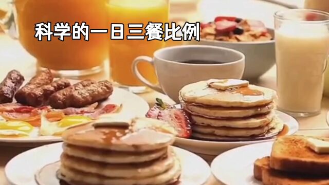 科学的一日三餐比例是什么