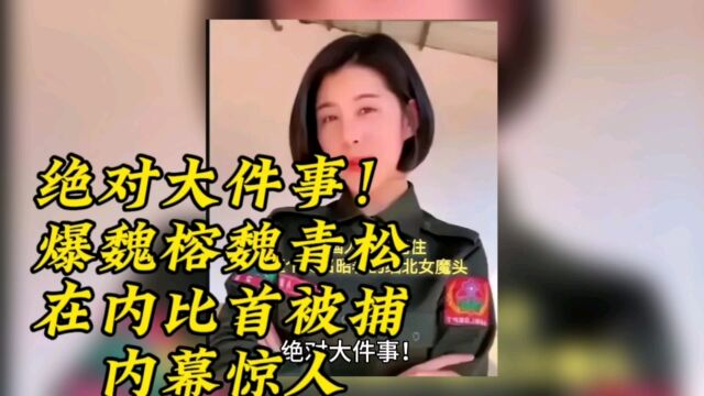 绝对大件事!爆魏榕魏青松在内比首被捕,内幕惊人