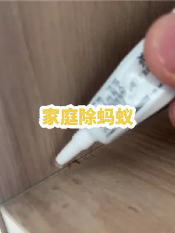 如果家裡經常有螞蟻,那就試試這個方法,從此家裡不再招螞蟻#滅蟻餌劑