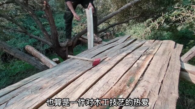 在树枝上搭建的庇护所,有转角扶梯和温暖的壁炉