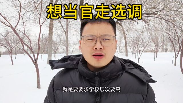 想当官你就应该这样规划,听卢老师的,这是普通人最容易的一条路