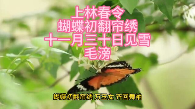 上林春令蝴蝶初翻帘绣十一月三十日见雪毛滂