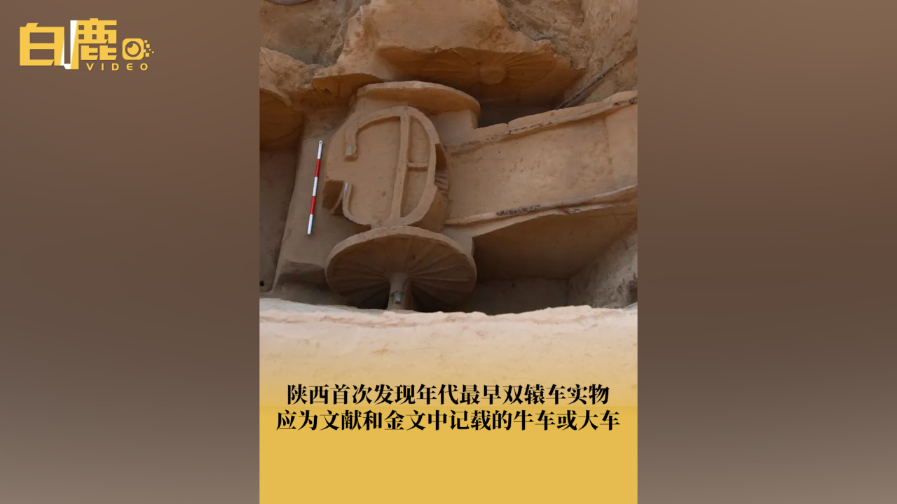 陕西首次发现年代最早双辕车实物