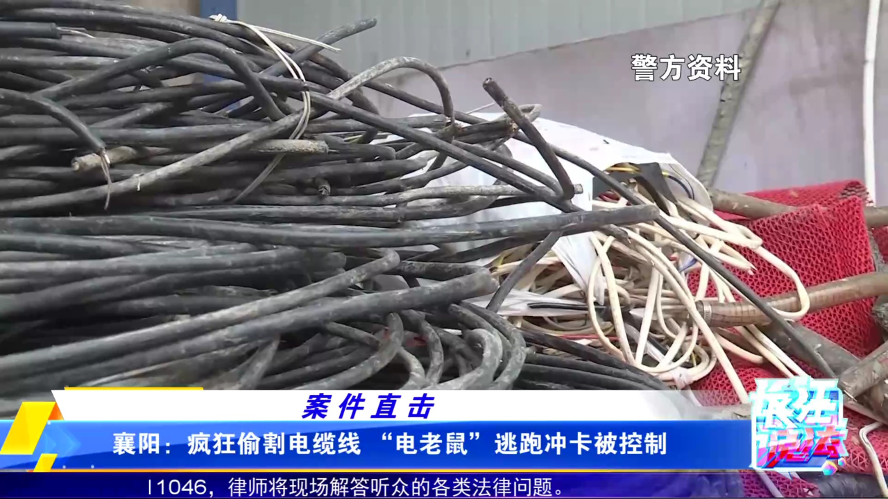 疯狂偷割电缆线 "电老鼠"逃跑冲卡被控制