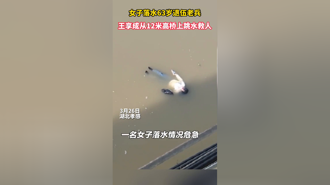 女子落水63岁退伍老兵从12米高的桥上纵身一跃