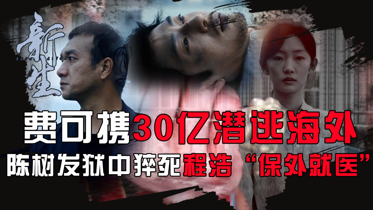 腾讯视频】 叮当追热剧，解析看不见的细节新生原著双结局：费可携30亿潜逃海外，何珊自尽！陈树发狱中猝死留下遗言，揭开程浩“保外就医”的背后真相 ，不删不过审