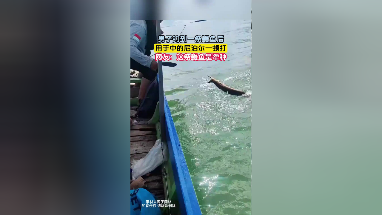 男子钓到一条鳗鱼后,用手中的尼泊尔一顿打,网友:这条鳗鱼是犟种