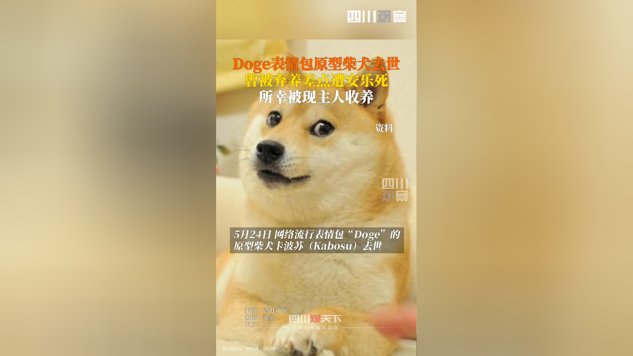 主人发文称doge表情包原型去世