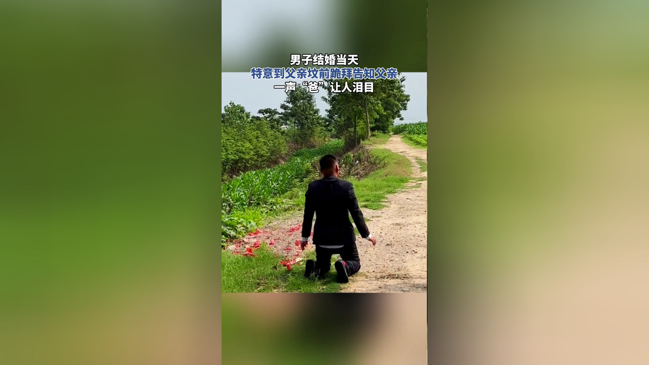 男子结婚当天,特意到父亲坟前跪拜告知父亲,一声"爸"让人泪目