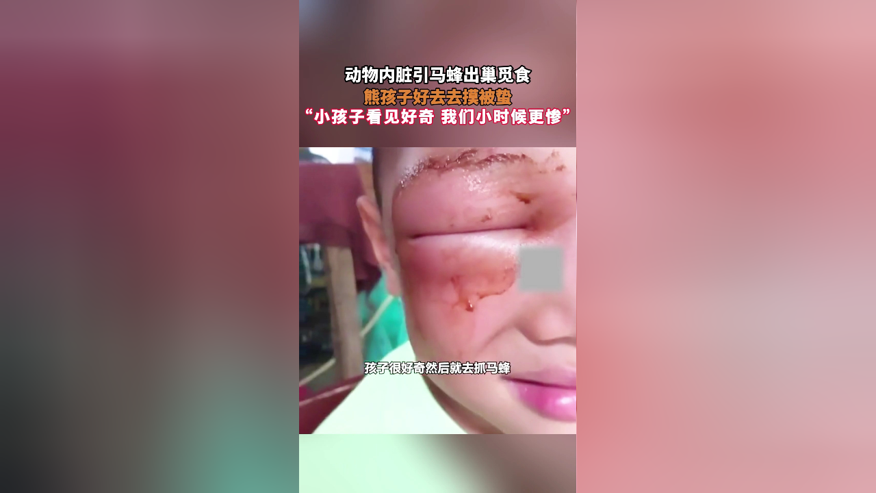 动物内脏引马蜂出巢觅食,熊孩子好去去摸被蛰,"小孩子看见好奇 我们小