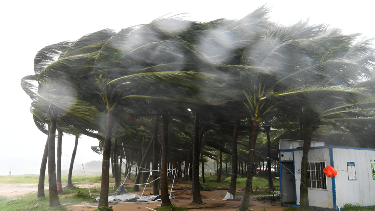防城港的天气预报