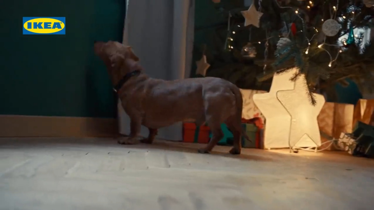 波兰宜家2024圣诞节广告不高兴的狗狗- 视频广告- 网络广告人社区
