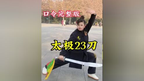 郑冬霞23刀全套演练图片