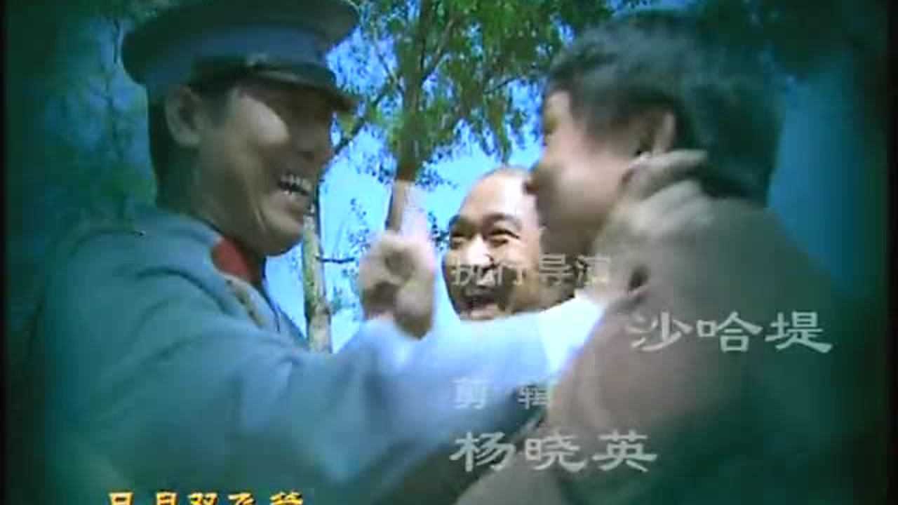 我这一辈子 20集