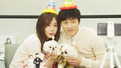 夙愿夫妇给狗狗过生日