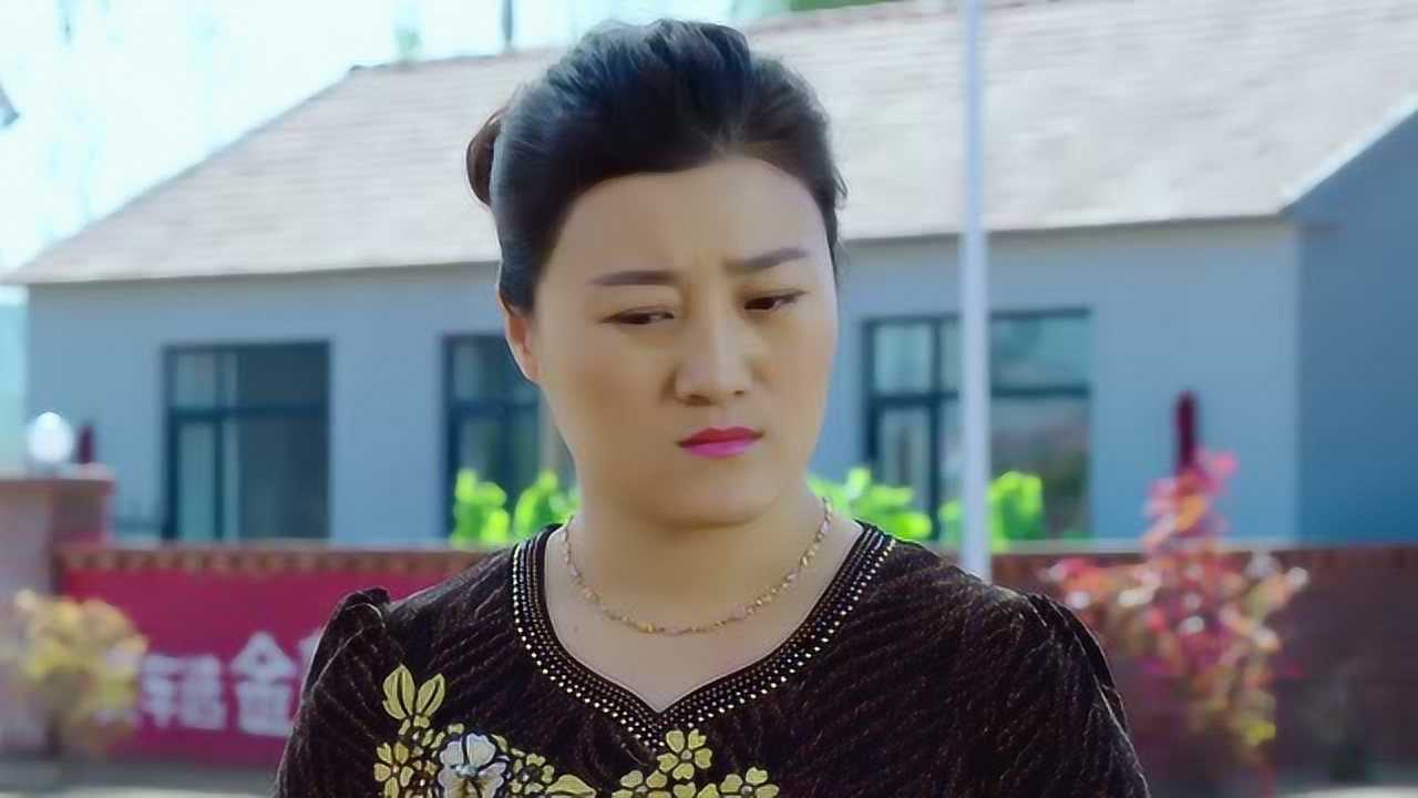 乡村爱情9（下） 5集