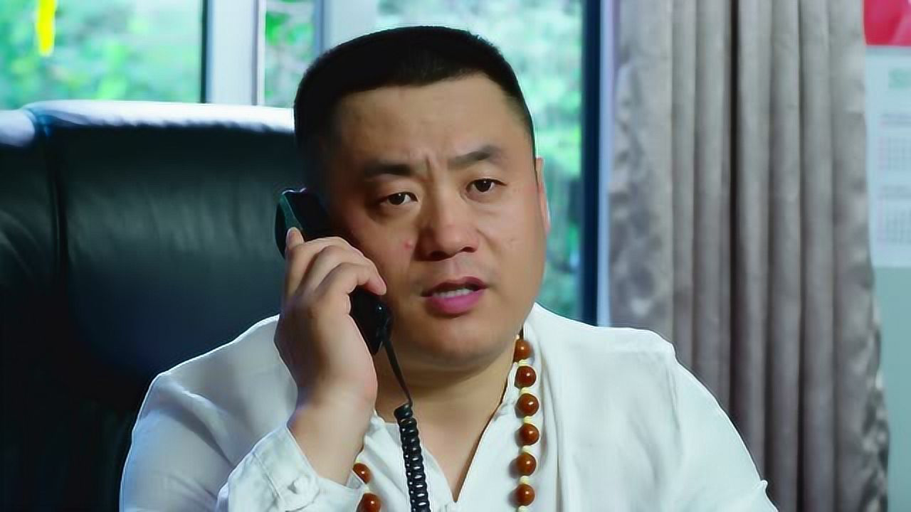 乡村爱情9（上） 11集