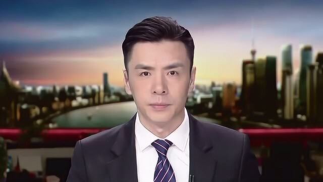 南京宝马车肇事案一审宣判 被告人王季进获刑十一年