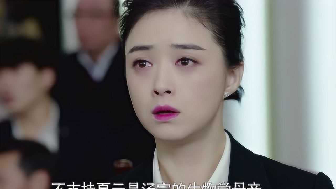 继承人 29集