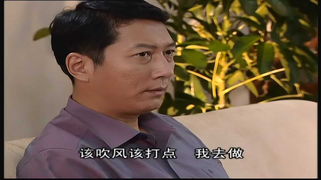 云淡天高 11集