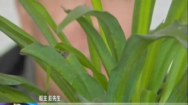 镇江:被拆了的出租船——租出去的船 被定位在神秘厂房内