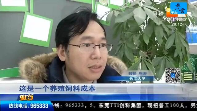 行情调查 节前牛肉价格稳定 节后或将继续“坚挺”